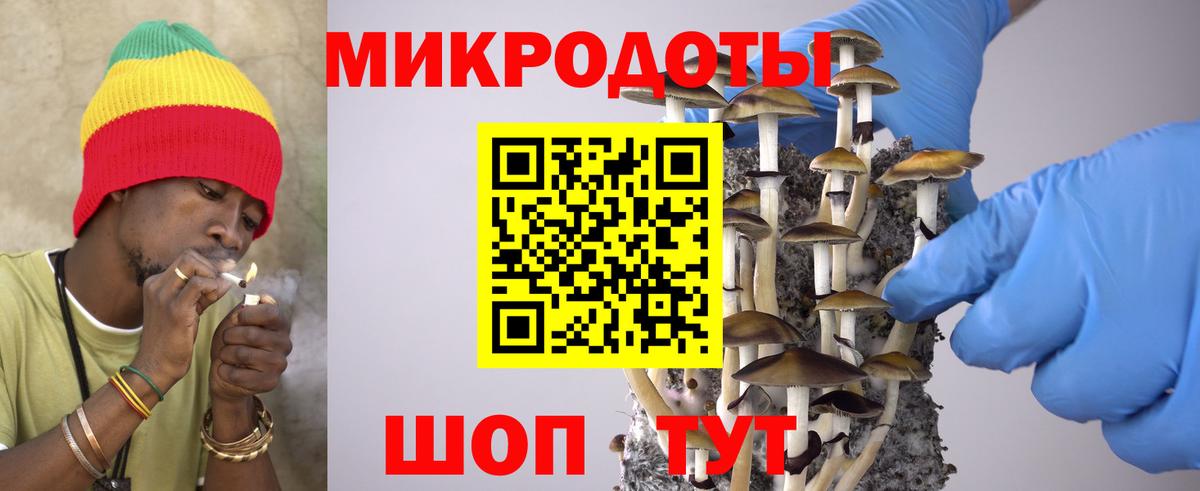 Новороссийск  Галлюциногенные грибы мицелий  Вход с VPN 